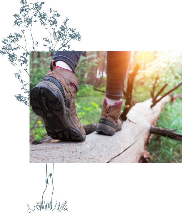 person hiking in the woods